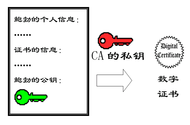 CA11