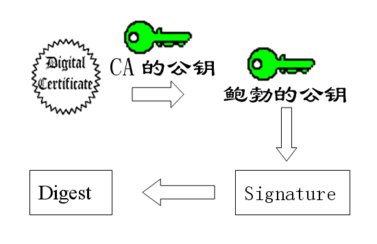 CA13